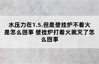 水压力在1.5.但是壁挂炉不着火是怎么回事 壁挂炉打着火就灭了怎么回事